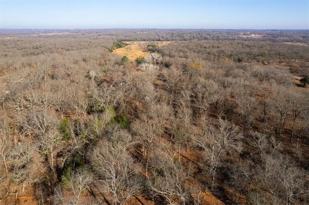 Photo 11 — 36507 Dancing Streams Road, Tecumseh, OK 74873