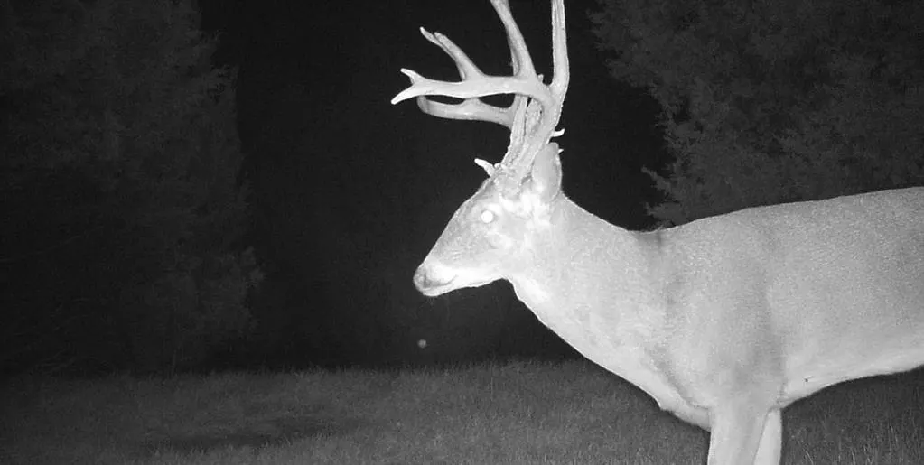 Photo 6 — N Dobbs & E Wilshire, Harrah, OK 73045