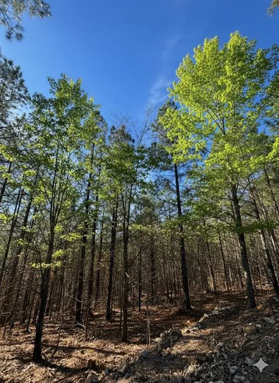 Photo 4 — 3 Sugarberry Trail, Broken Bow, OK 74728