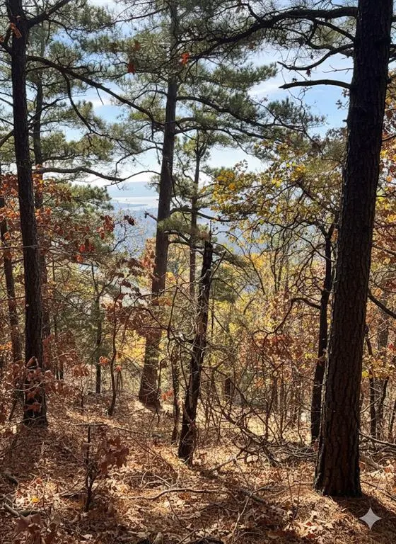 Photo 7 — 4 Timber Ridge, Tuskahoma, OK 74574