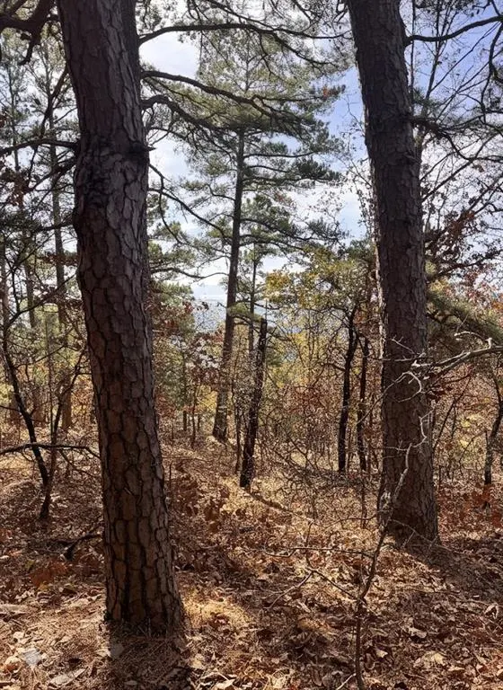 Photo 9 — 4 Timber Ridge, Tuskahoma, OK 74574
