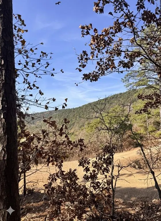 Photo 10 — 4 Timber Ridge, Tuskahoma, OK 74574