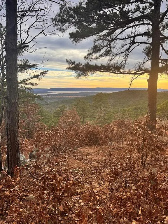 Photo 2 — 4 Timber Ridge, Tuskahoma, OK 74574