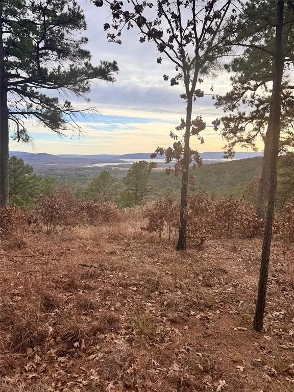 Photo 3 — 4 Timber Ridge, Tuskahoma, OK 74574