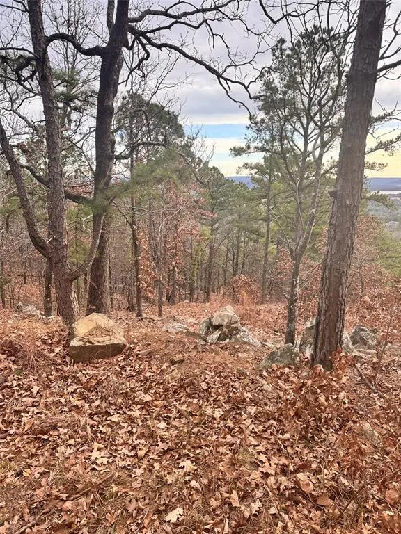 Photo 4 — 4 Timber Ridge, Tuskahoma, OK 74574