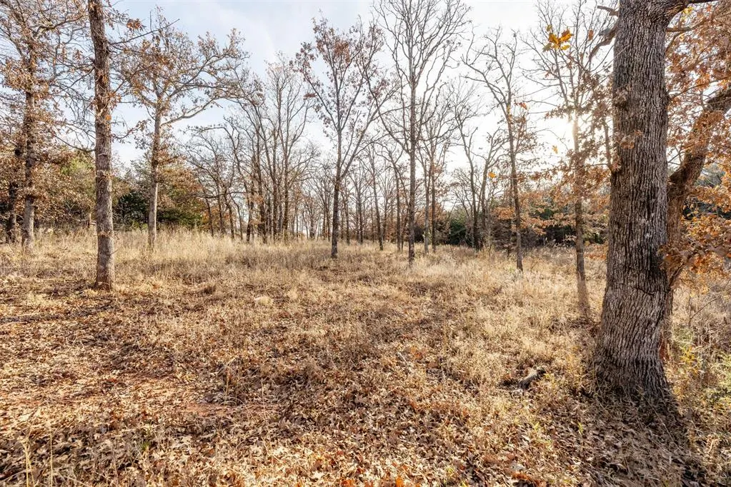 Photo 33 — Canyon Run Road, Meridian, OK 73058