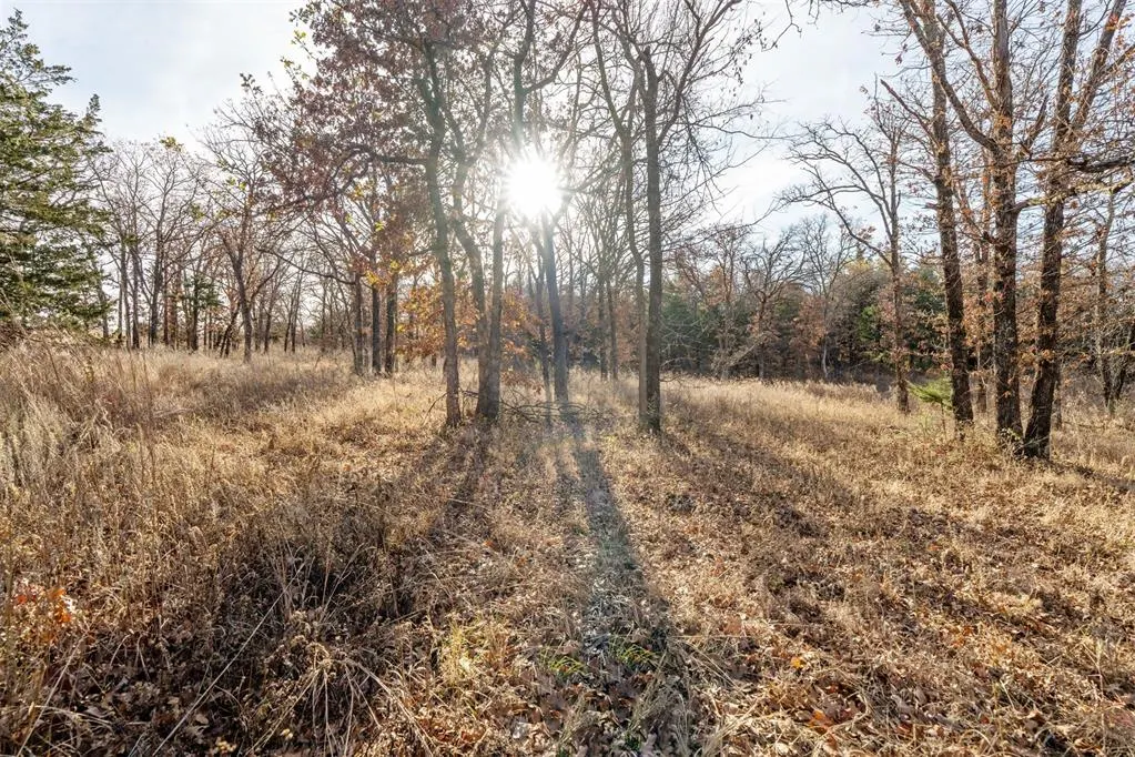 Photo 36 — Canyon Run Road, Meridian, OK 73058