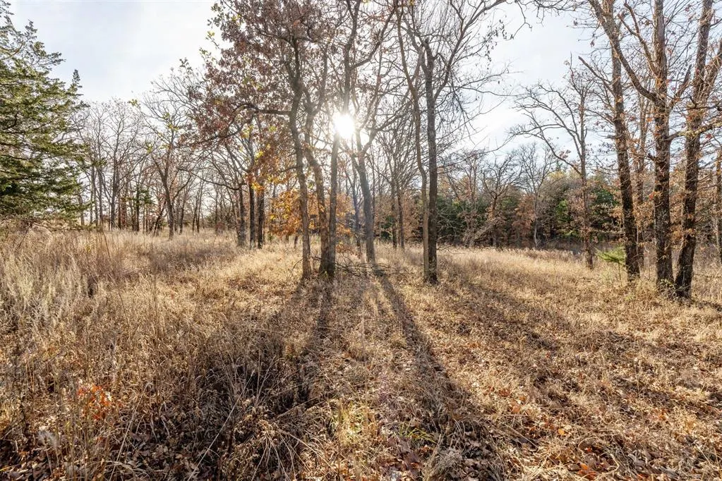 Photo 37 — Canyon Run Road, Meridian, OK 73058