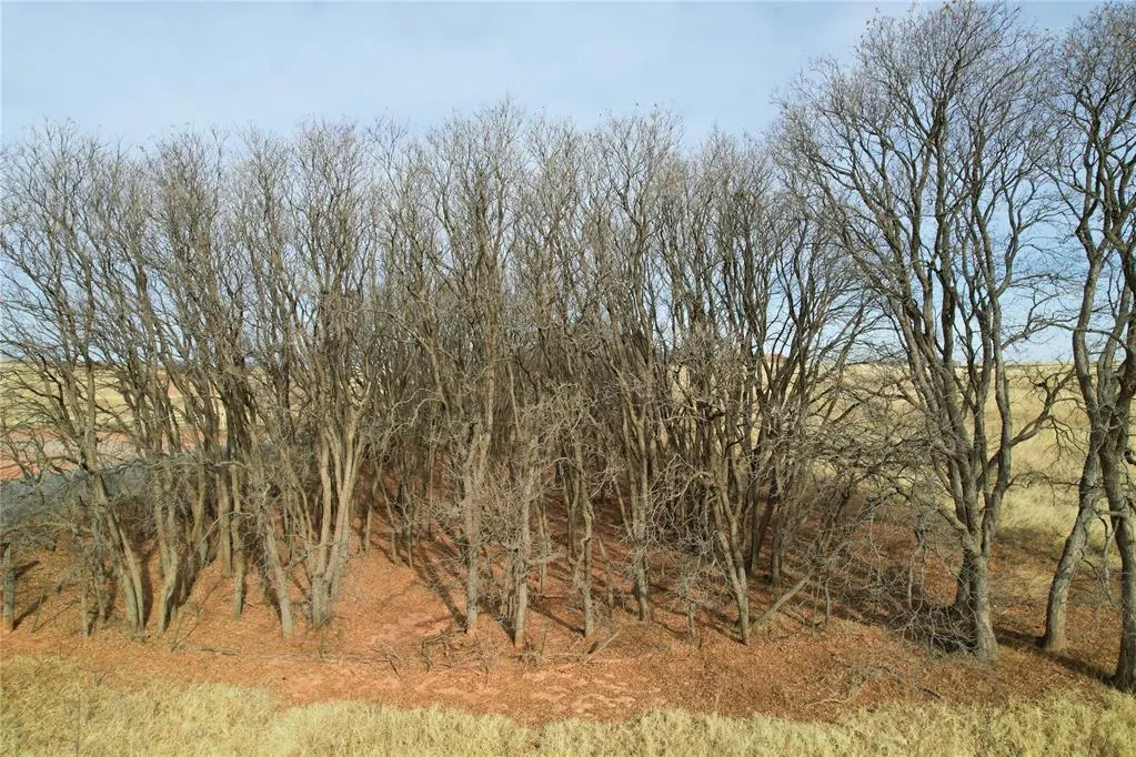 Photo 9 — N 2150 Road, Foss Lake, OK 73647