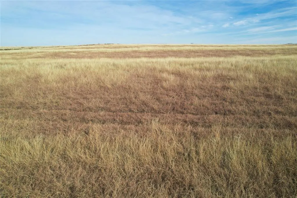 Photo 19 — N 2150 Road, Foss Lake, OK 73647