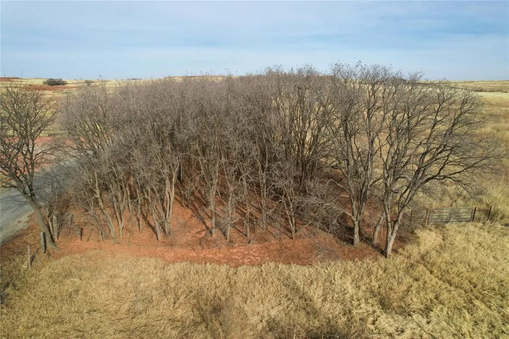 Photo 23 — N 2150 Road, Foss Lake, OK 73647