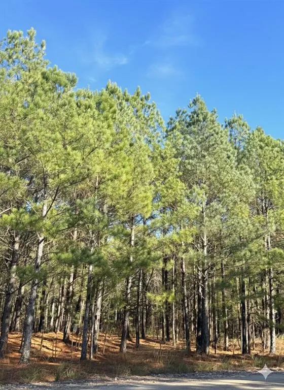 Photo 2 — 31 Dawnview Way Trail, Broken Bow, OK 74728