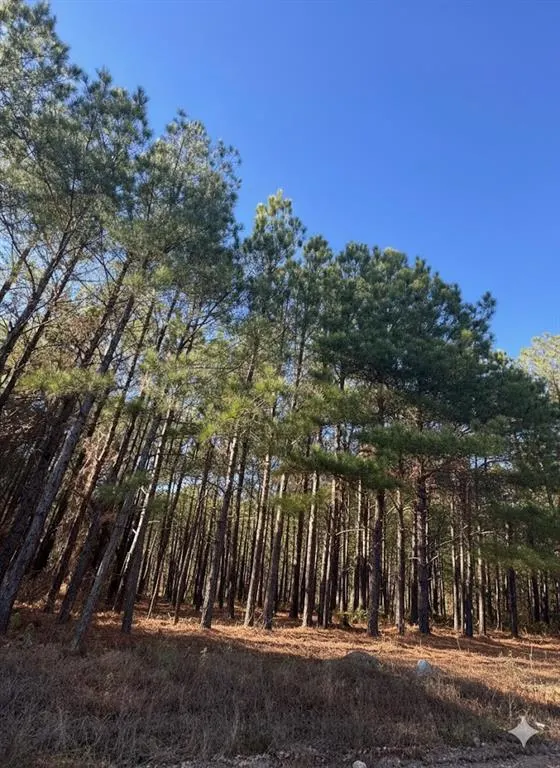 Photo 4 — 31 Dawnview Way Trail, Broken Bow, OK 74728
