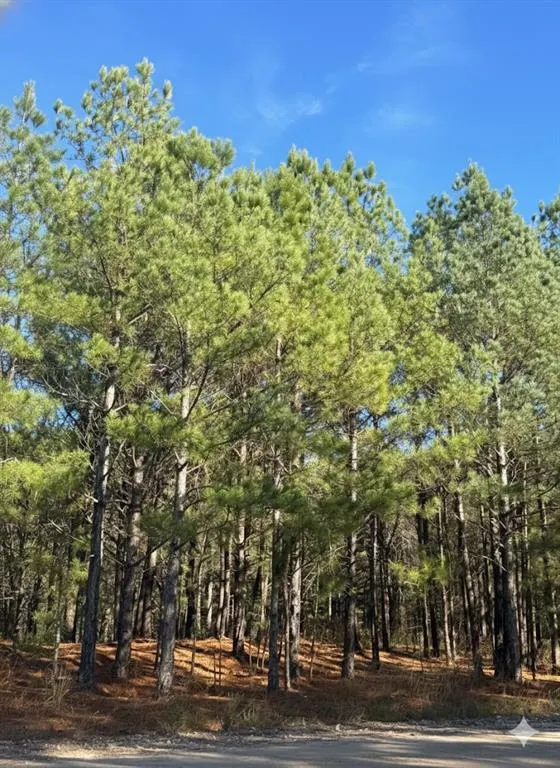 Photo 2 — 32 Dawnview Way Trail, Broken Bow, OK 74728