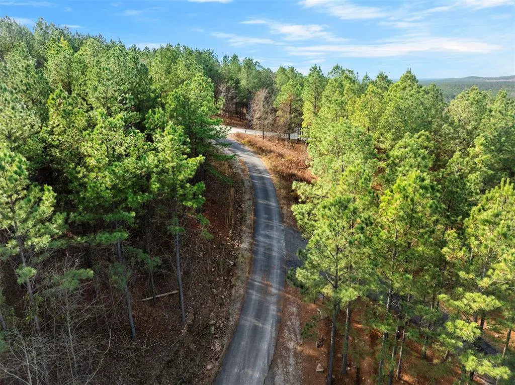 Photo 5 — 164 Timber Holler Trail Lot 504, Broken Bow, OK 74728