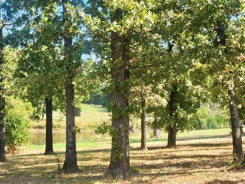 Photo 3 — 38504 Highway 9, Tecumseh, OK 74873