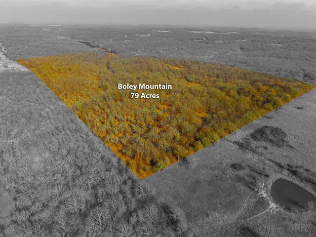 Photo 8 — Rural 80 Ac III Lakes Rd., Boley, OK 74829