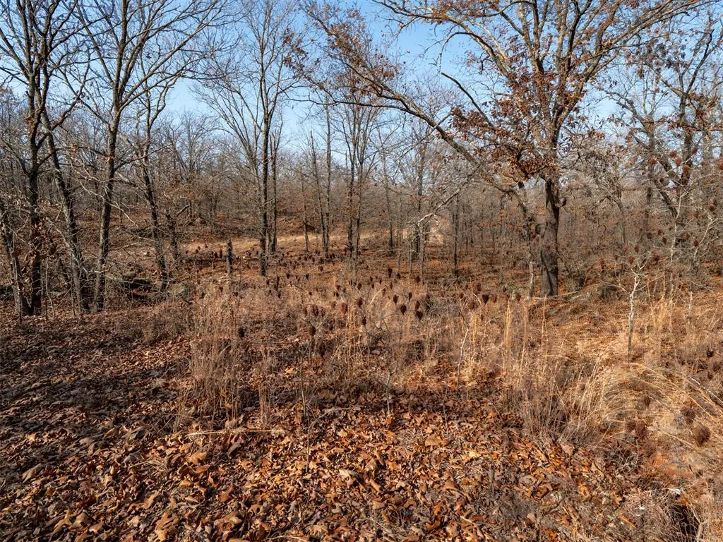 Photo 18 — Rural 80 Ac III Lakes Rd., Boley, OK 74829