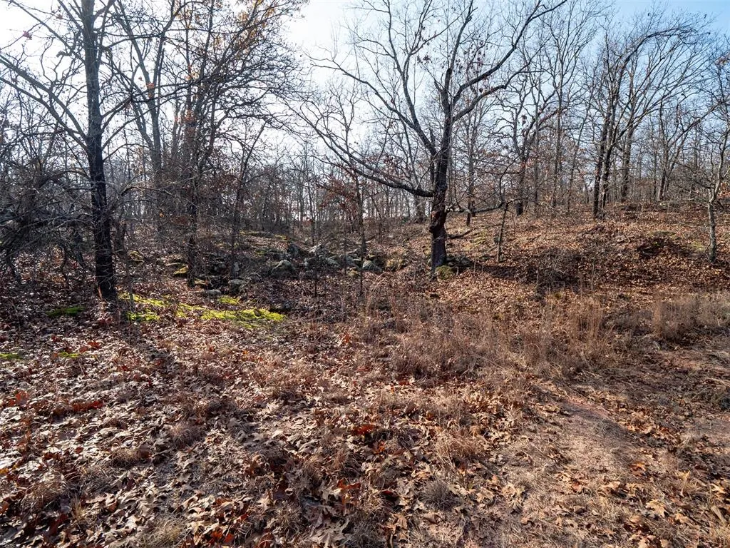 Photo 20 — Rural 80 Ac III Lakes Rd., Boley, OK 74829