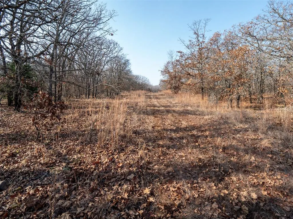 Photo 21 — Rural 80 Ac III Lakes Rd., Boley, OK 74829