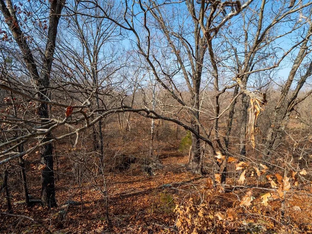 Photo 27 — Rural 80 Ac III Lakes Rd., Boley, OK 74829