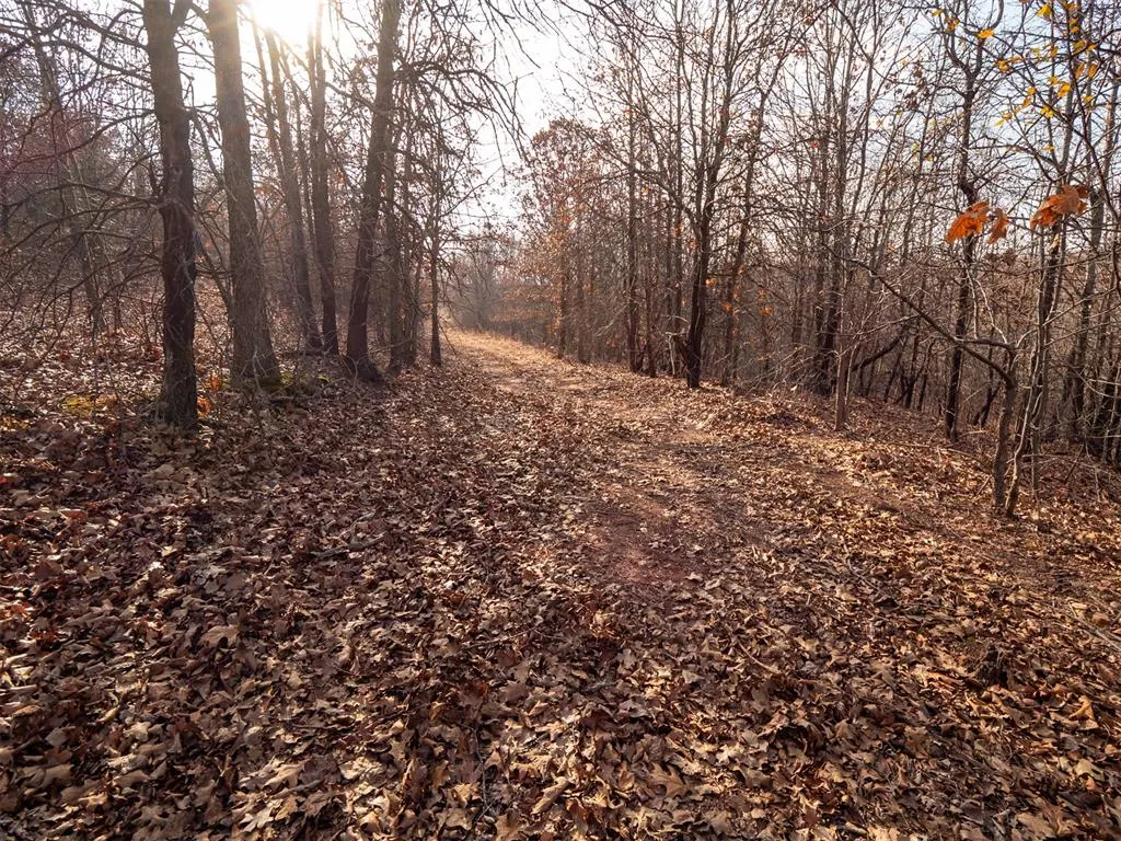Photo 35 — Rural 123 acres III Lakes addition, Boley, OK 74829