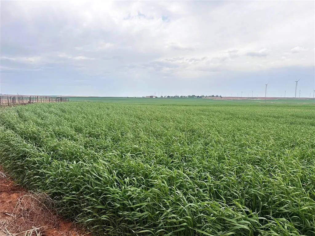 Photo 3 — 0000 S Hwy 54 Tract #1 Road, Weatherford, OK 73096
