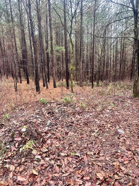 Photo 5 — 1235 Sugarberry Trail, Broken Bow, OK 74728