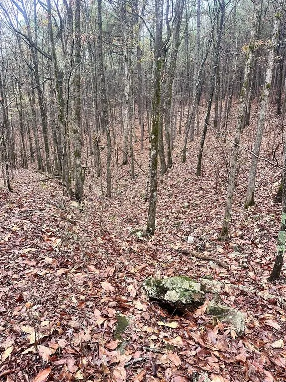 Photo 7 — 1235 Sugarberry Trail, Broken Bow, OK 74728