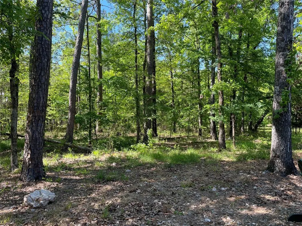 Photo 24 — 670 Pine Meadow Lane, Broken Bow, OK 74748
