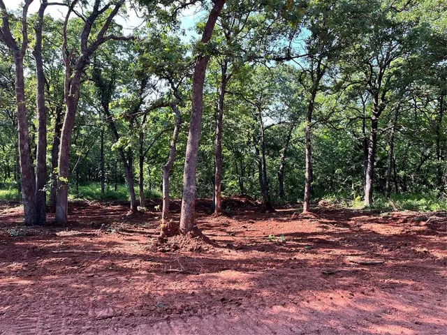 Photo 2 — 01 E 1b Painted Sky Road, Harrah, OK 73045