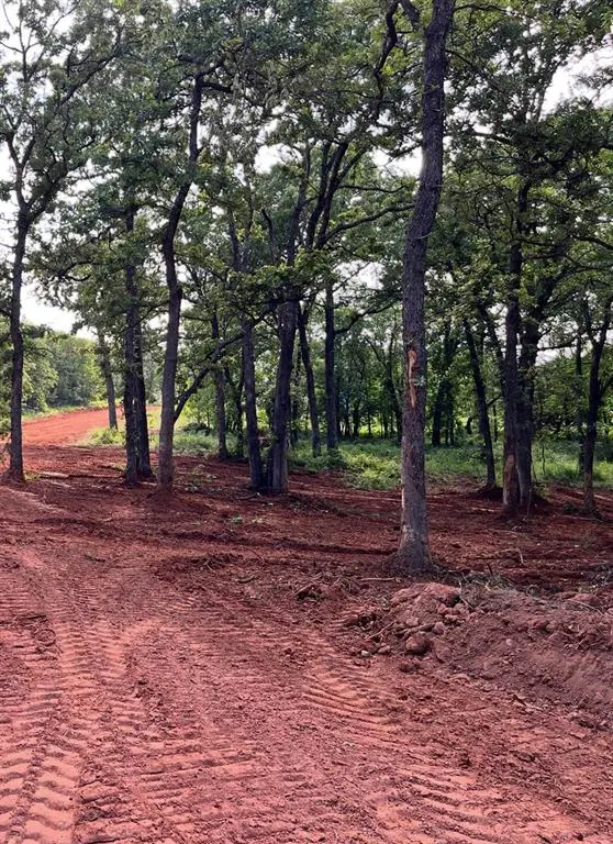 Photo 3 — 01 E 1b Painted Sky Road, Harrah, OK 73045