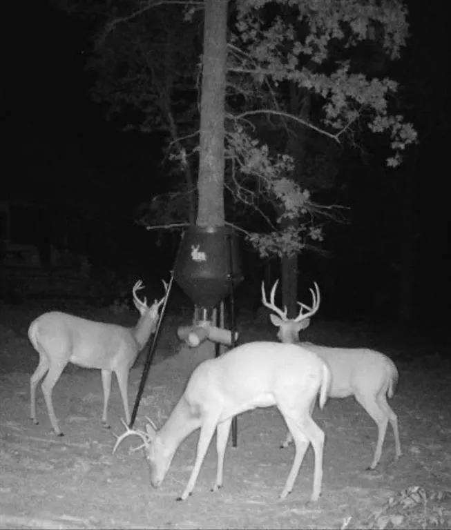 Photo 7 — 01 E 1b Painted Sky Road, Harrah, OK 73045
