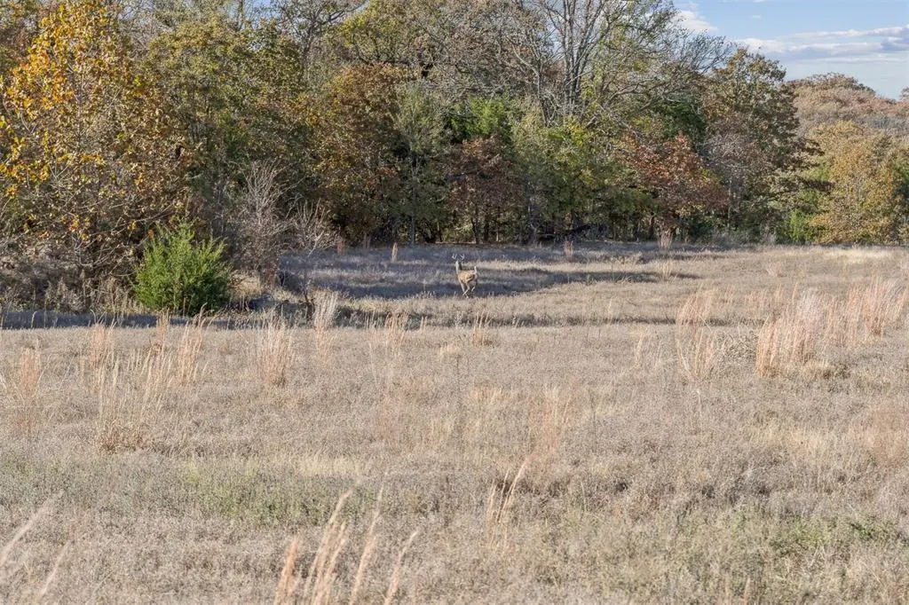 Photo 32 — 46500 Bob Crouch Road, Earlsboro, OK 74840