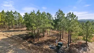 Sold home at 347 Fragrant Cedar Trail
