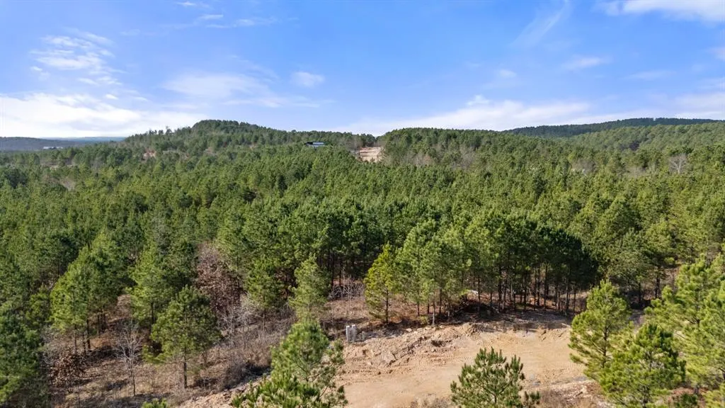 Photo 4 — 347 Fragrant Cedar Trail, Broken Bow, OK 74728