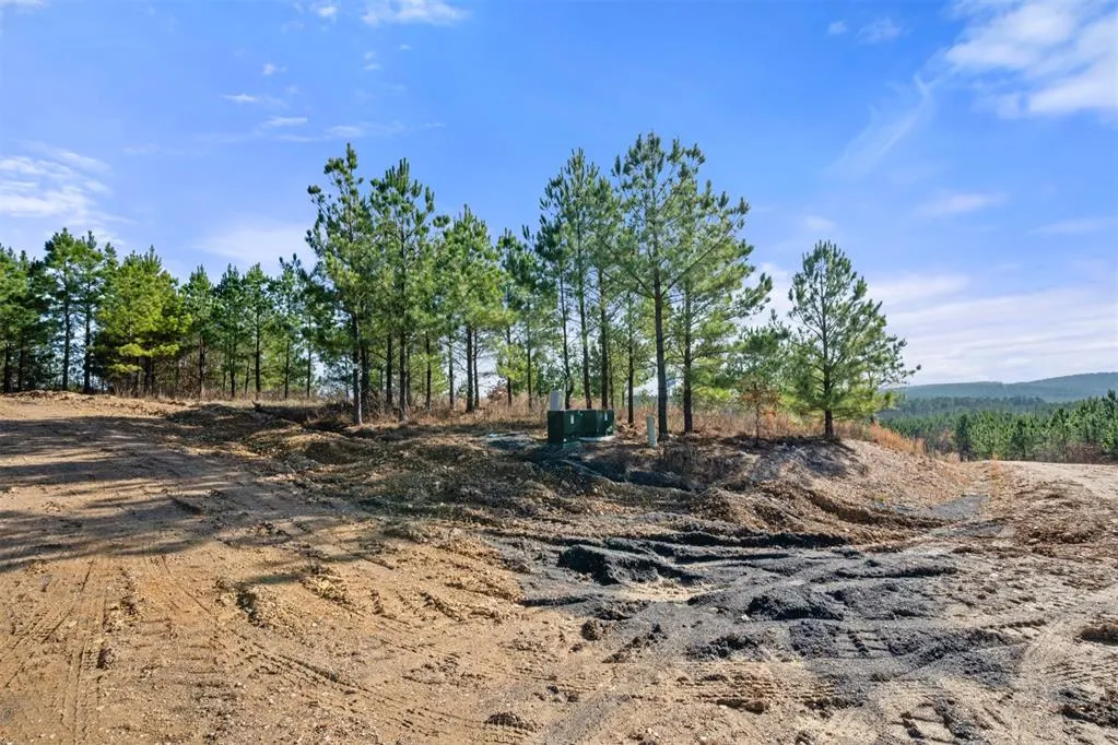 Photo 8 — 347 Fragrant Cedar Trail, Broken Bow, OK 74728