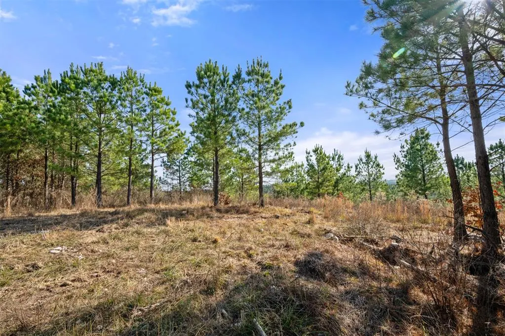 Photo 9 — 347 Fragrant Cedar Trail, Broken Bow, OK 74728