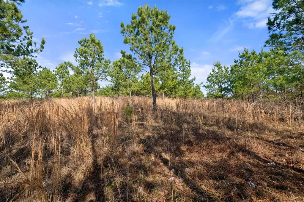 Photo 14 — 347 Fragrant Cedar Trail, Broken Bow, OK 74728