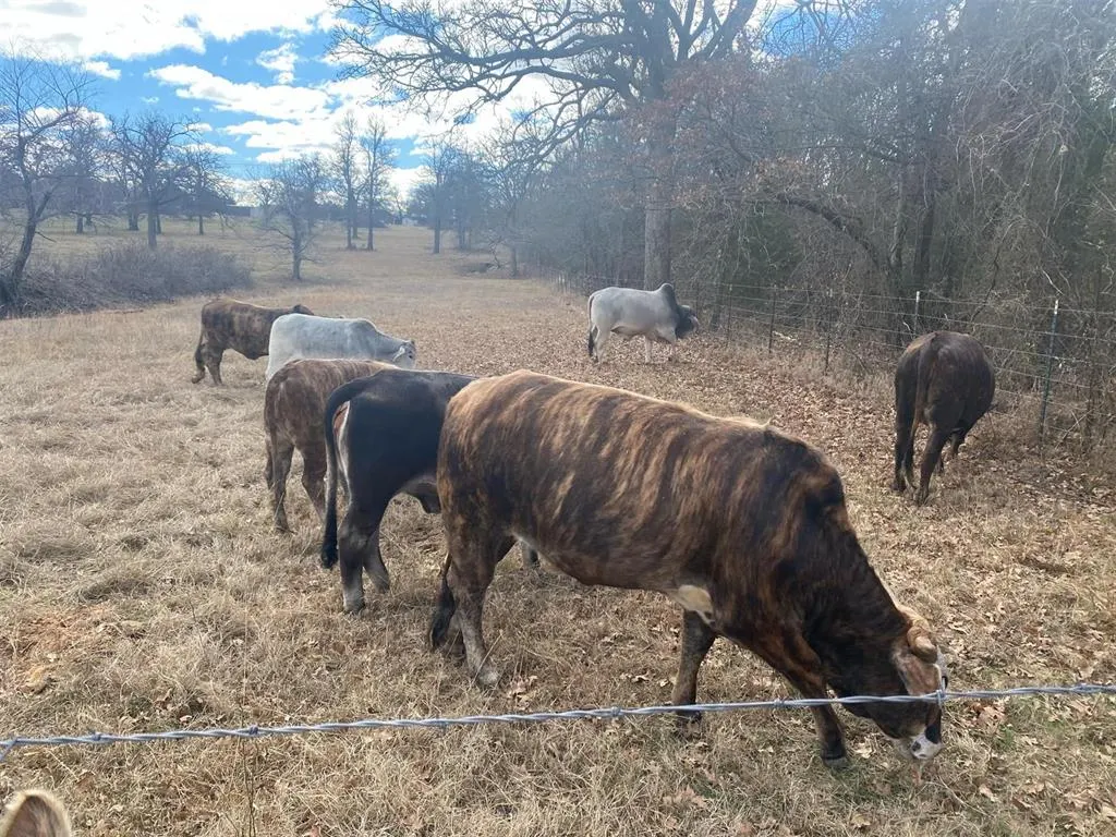 Photo 31 — 15174 Gray Fox Road, Choctaw, OK 73020