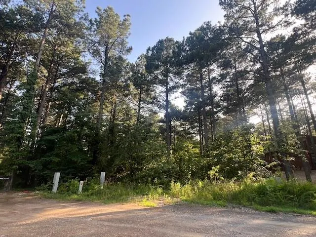 Photo 2 — 145 Xtreme Lane, Broken Bow, OK 74728