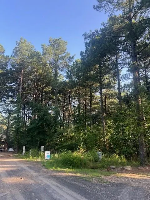 Photo 3 — 145 Xtreme Lane, Broken Bow, OK 74728