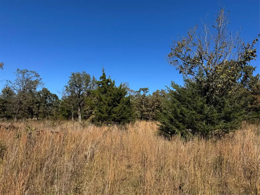 Photo 4 — 30368 Coyote Trail, Tecumseh, OK 74873