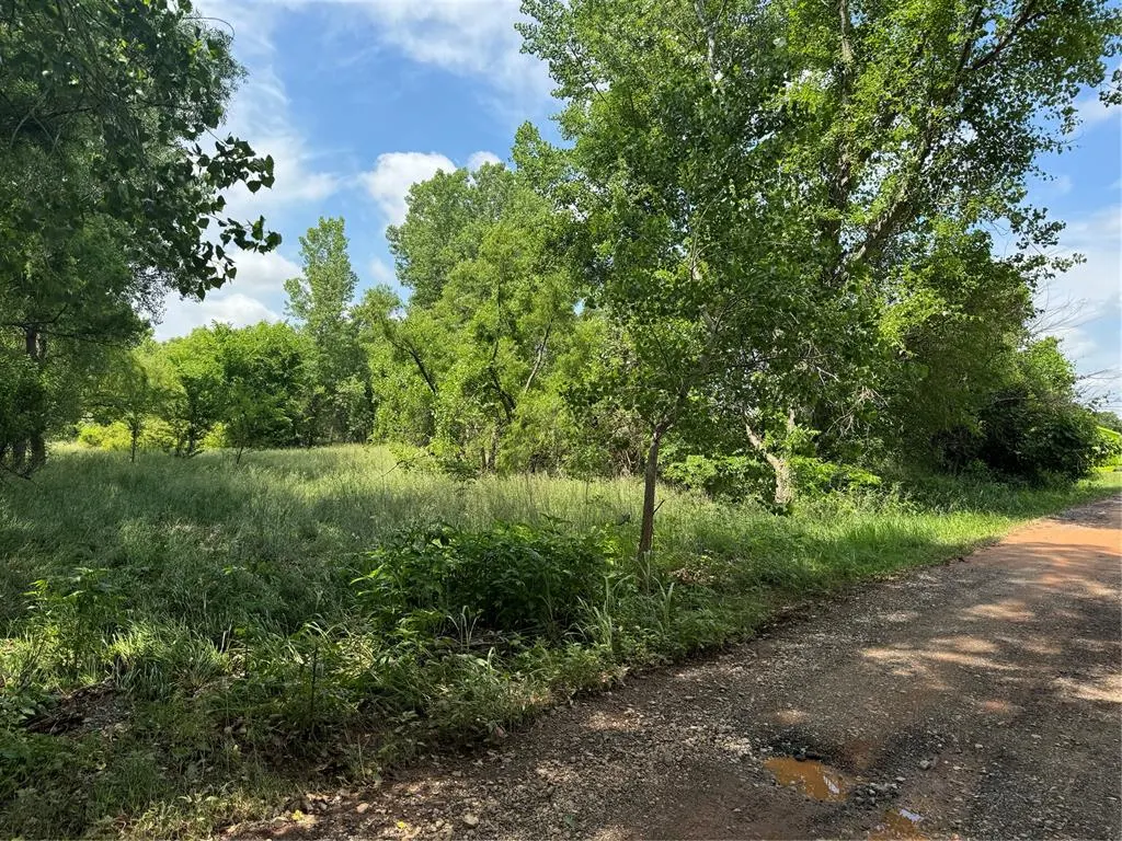 Photo 3 — 1462 Meadow View Lane, Blanchard, OK 73010