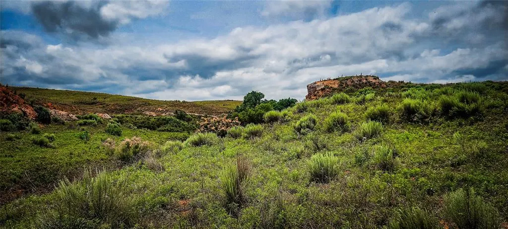 Photo 5 — 001 N 1920 Road, Buffalo, OK 73834