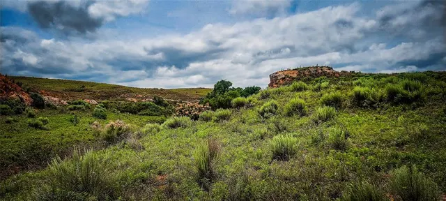 Photo 5 — 001 N 1920 Road, Buffalo, OK 73834