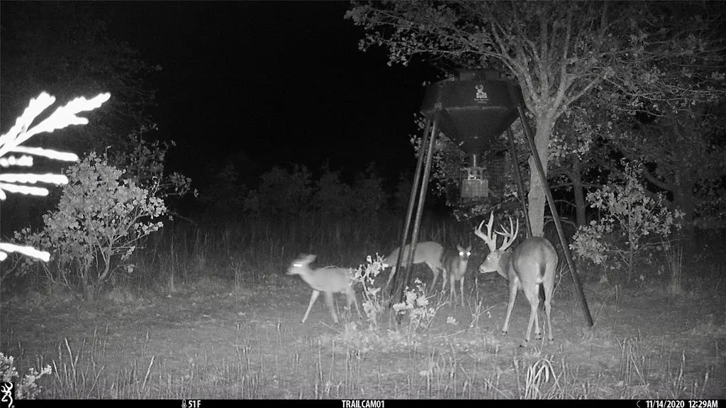 Photo 5 — 0000 Cemetery Road Road, Ratliff City, OK 73481