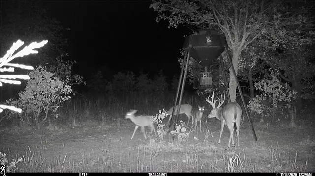 Photo 5 — 0000 Cemetery Road Road, Ratliff City, OK 73481