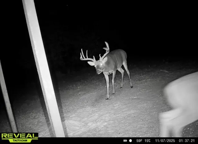 Photo 6 — 0000 Cemetery Road Road, Ratliff City, OK 73481