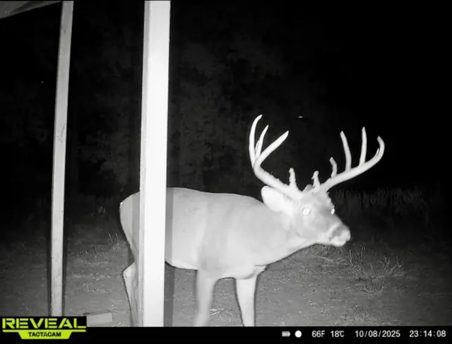 Photo 7 — 0000 Cemetery Road Road, Ratliff City, OK 73481